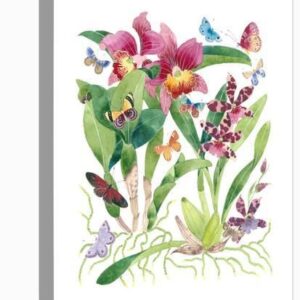 butterflies and orchids 2 u l q1bkjgdo1zln 3.jpg