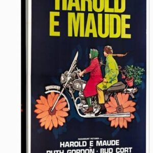 harold and maude italian poster ruth gordon bud cort 1971 u l q1hw5j6o1zln 3.jpg