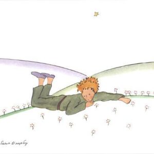 le petit prince reveur u l f7zyus0 3.jpg