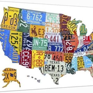 license plate map usa u l q1huyl4o1zln 3.jpg