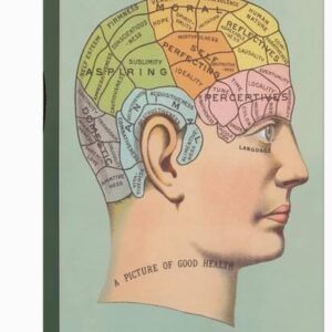 phrenology chart of head u l q1hrfbao1zln 3.jpg