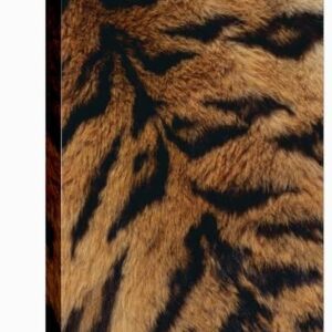 tiger fur u l pu8nako1zln 3.jpg