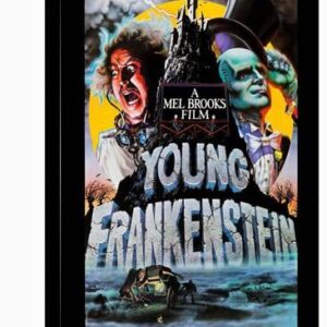 young frankenstein u l q1hw54no1zln 3.jpg